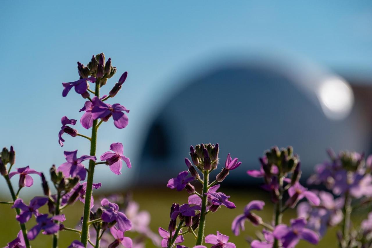 Villa Garden Domes Puerto Natales Exterior foto