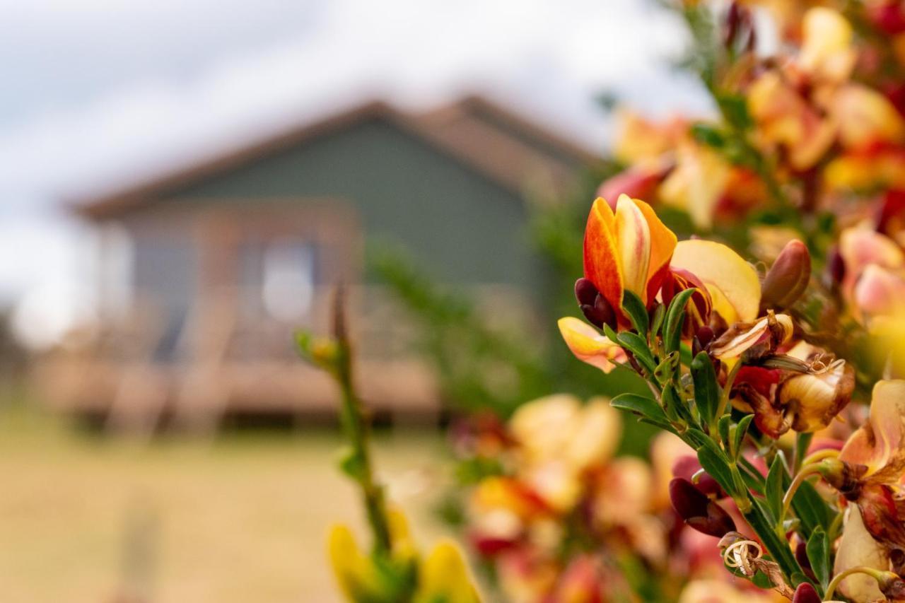 Villa Garden Domes Puerto Natales Exterior foto